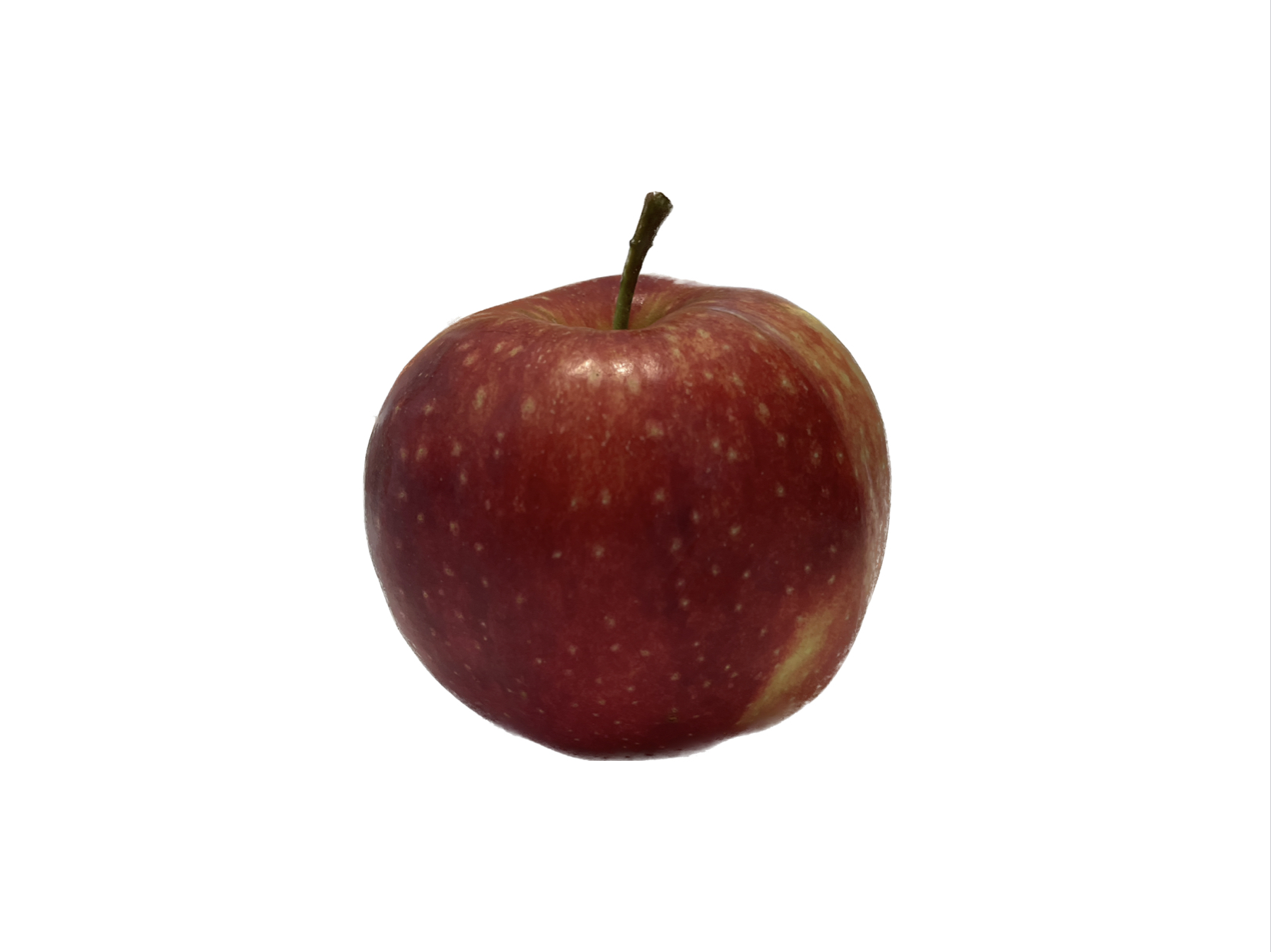 Obsthof Cordes - Fruchtfoto Jonagored