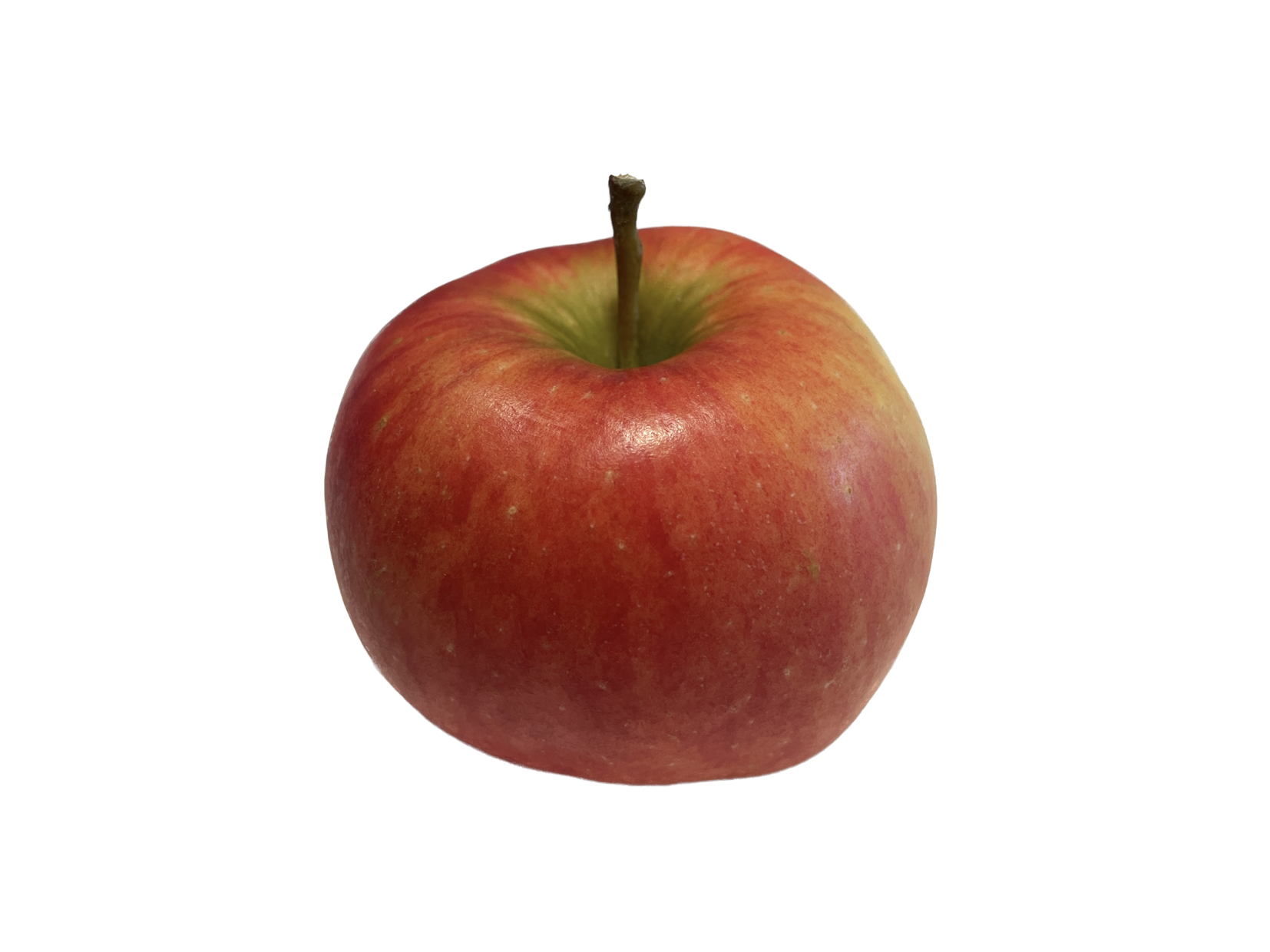 Obsthof Cordes - Fruchtfoto Topaz